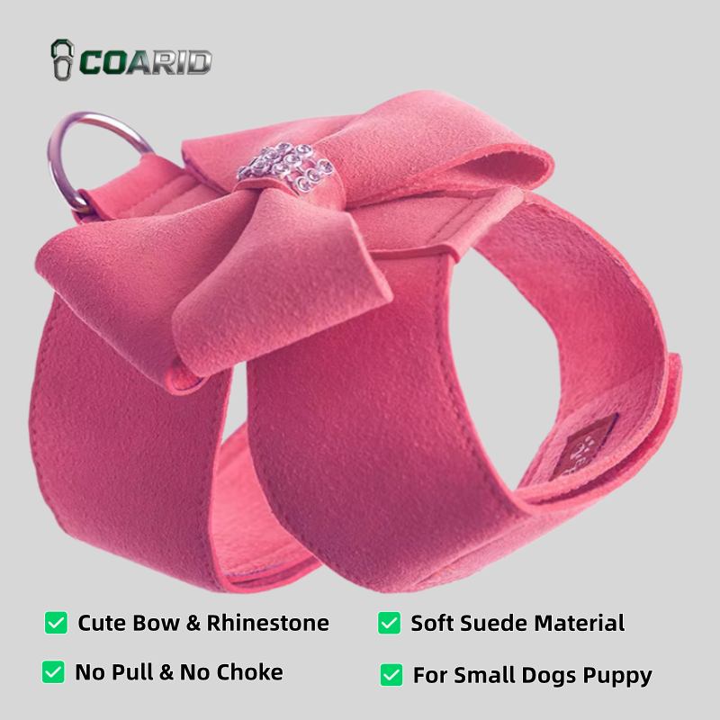 Cute Dog Harness Leash Set Sak - D Ring Strap recensie en prijs