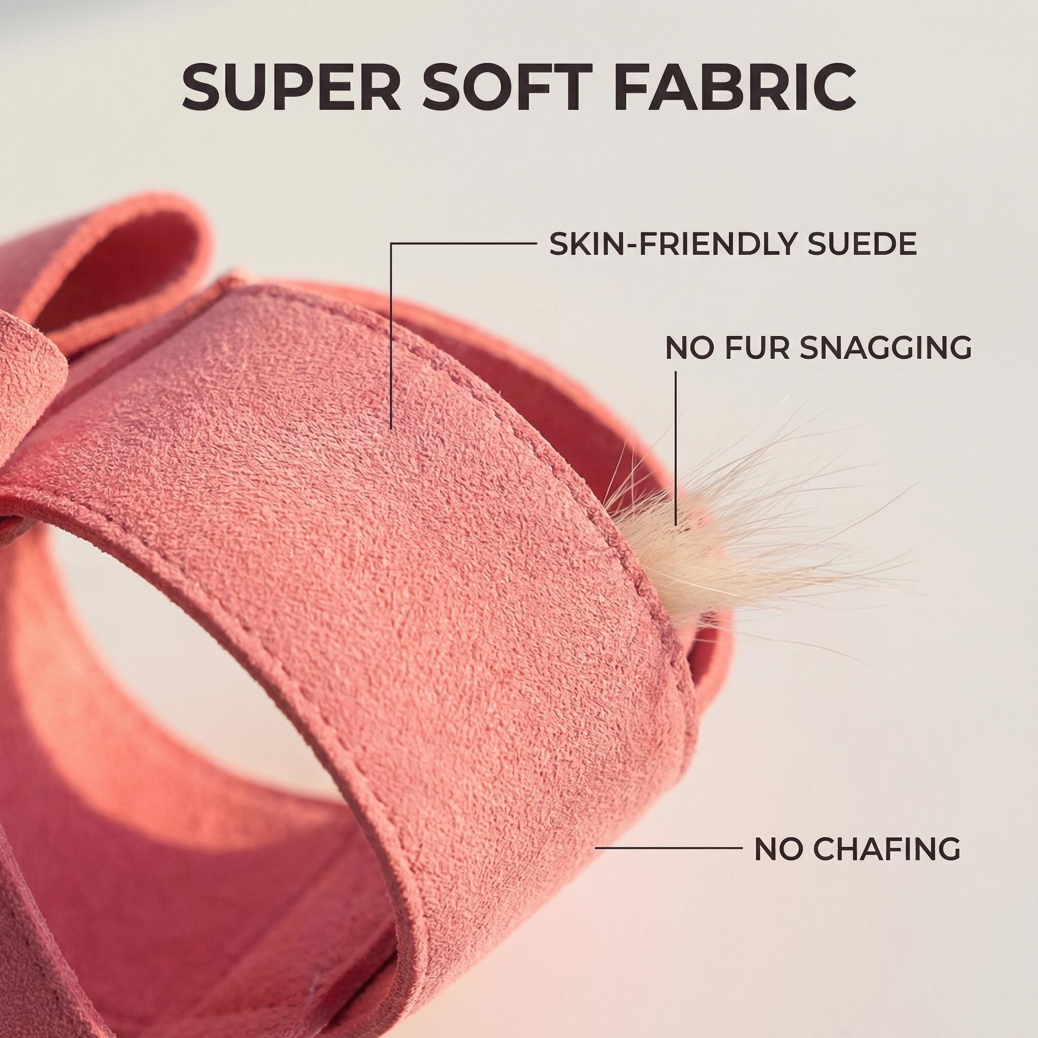 Cute Dog Harness Leash Set Sak - D Ring Strap recensie en prijs