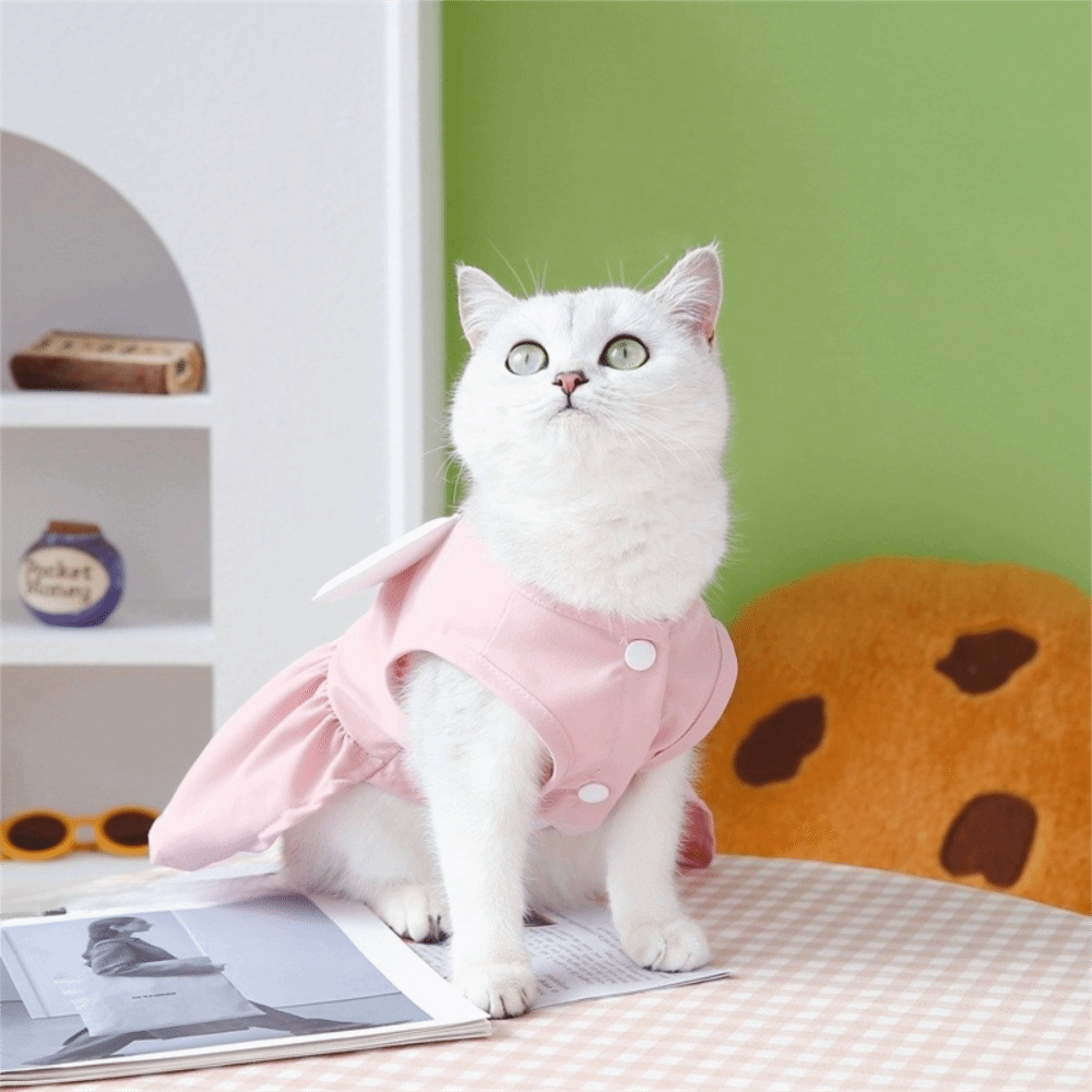 Pet Chest Strap Adorable Dog W - D Ring Strap recensie en prijs