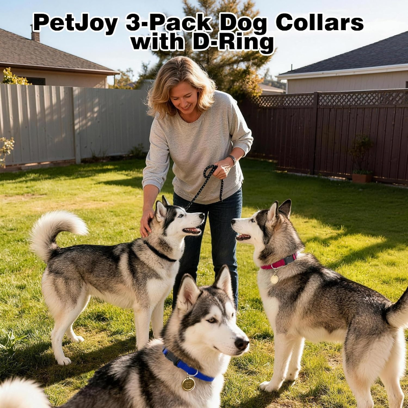 Dog Shock Collar Replacement S - D Ring Strap recensie en prijs